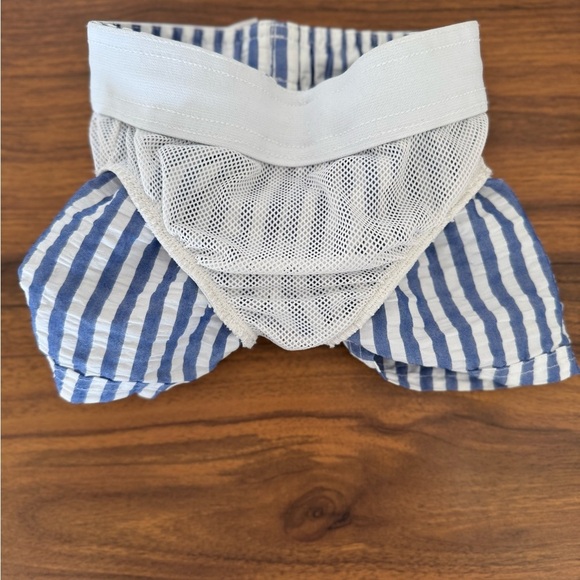 Cat & Jack 12 month Baby Boy Swim Trunks Striped Blue and White Swim Shorts - Picture 6 of 6